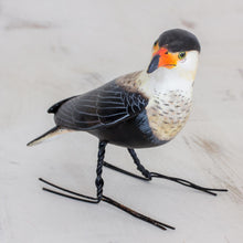 Load image into Gallery viewer, Crested Caracara
