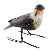 Load image into Gallery viewer, Hand Sculpted, Painted Ceramic Crested Caracara Figurine - Crested Caracara | NOVICA

