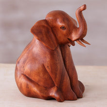 Load image into Gallery viewer, Elephant Child
