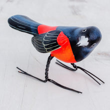 Load image into Gallery viewer, Orchard Oriole
