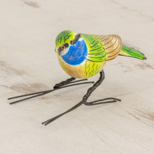 Load image into Gallery viewer, BlueThroated Hummingbird
