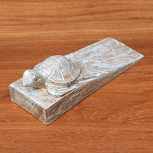 Load image into Gallery viewer, Distressed Baby Turtle
