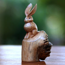 Load image into Gallery viewer, Watchful Hare
