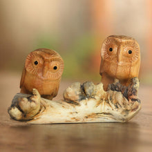 Load image into Gallery viewer, Owl Romance

