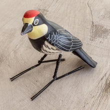 Load image into Gallery viewer, Acorn Woodpecker

