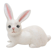 Load image into Gallery viewer, Hand Painted Suar Wood Rabbit Figurine - Wise Rabbit in White | NOVICA
