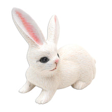 Load image into Gallery viewer, Hand Painted Suar Wood Rabbit Figurine - Wise Rabbit in White | NOVICA
