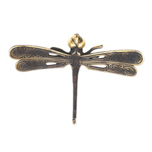 Load image into Gallery viewer, Hand Cast Bronze Dragonfly Wall Hook - Golden Dragonfly | NOVICA
