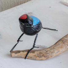 Load image into Gallery viewer, Longtailed Manakin
