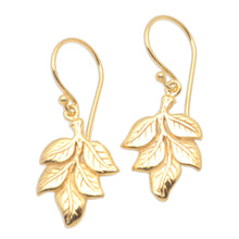 Load image into Gallery viewer, Gold-Plated Brass Leaf Dangle Earrings - Betel Leaves | NOVICA
