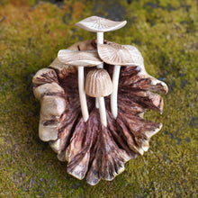Load image into Gallery viewer, Young Mushrooms
