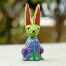 Load image into Gallery viewer, Colorful Bunny
