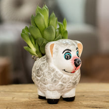 Load image into Gallery viewer, Herbaceous Sheep

