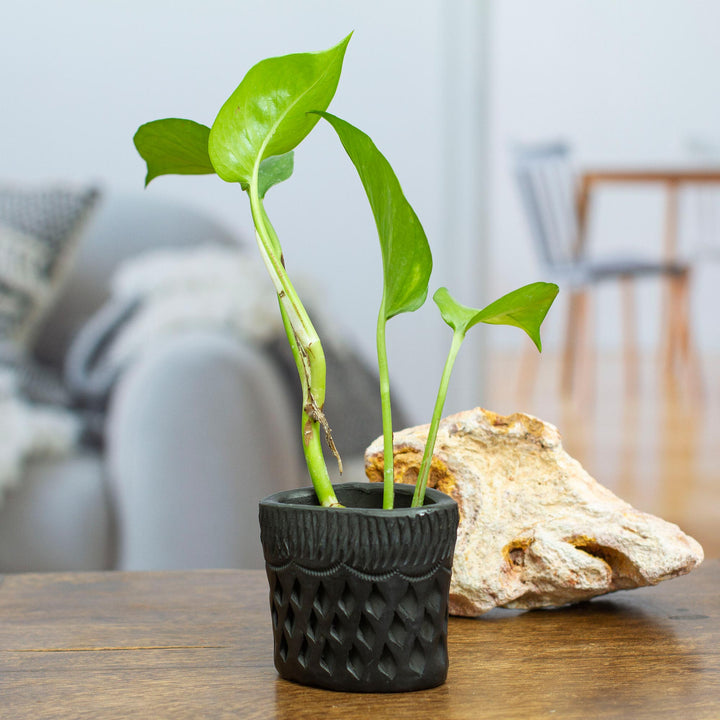 Barro Negro Black Ceramic Mini Flower Pot Handmade in Mexico - Oval & Diamonds | NOVICA