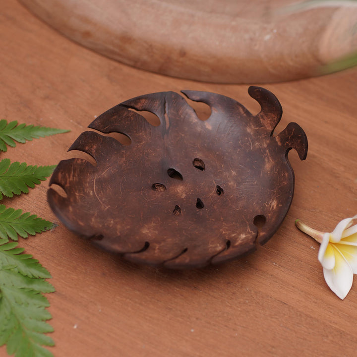 Handmade Tropical Leaf-Themed Coconut Soap Holder from Bali - Little Monstera | NOVICA