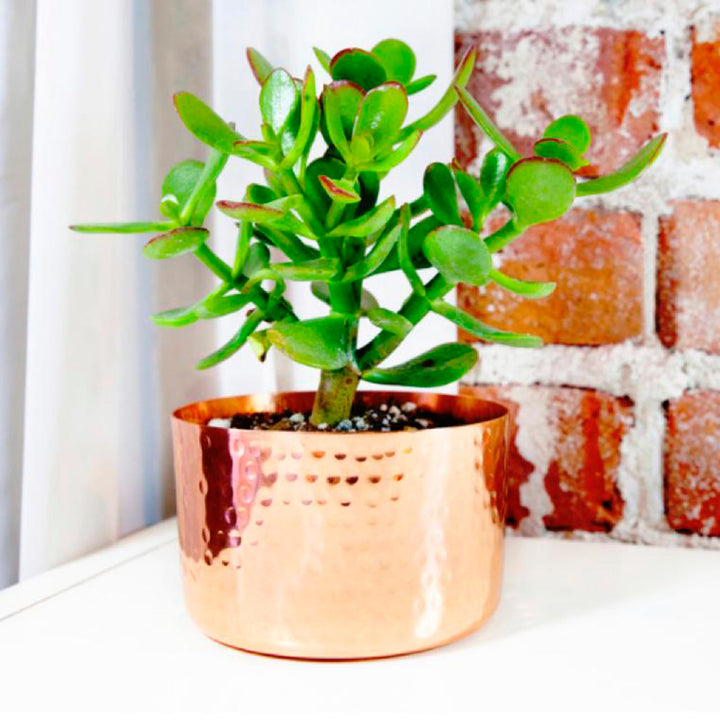 Handcrafted Copper Flower Pot with Hammered Finish - Vintage Nature | NOVICA