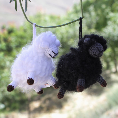 Woolly Duo