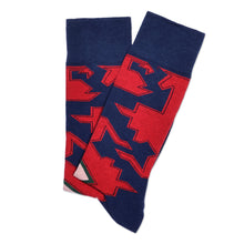 Load image into Gallery viewer, Cotton Blend Socks Adorned with Traditional Armenian Designs - Lori&#39;s Energy | NOVICA
