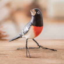 Load image into Gallery viewer, RoseBreasted Grosbeak
