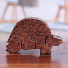Load image into Gallery viewer, Turtle Mystery
