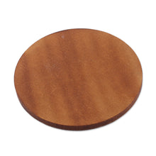 Load image into Gallery viewer, 5 Round Laminated Wood Coasters with Cartography Theme - Enchanting Cartography | NOVICA
