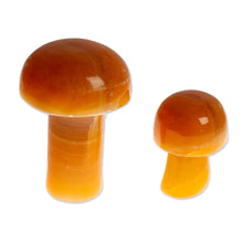 Load image into Gallery viewer, Pair of Mushroom-Themed Hand-Carved Brown Onyx Home Accents - Morning Mushrooms | NOVICA
