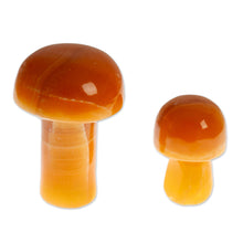 Load image into Gallery viewer, Pair of Mushroom-Themed Hand-Carved Brown Onyx Home Accents - Morning Mushrooms | NOVICA
