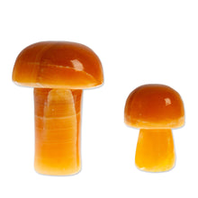 Load image into Gallery viewer, Pair of Mushroom-Themed Hand-Carved Brown Onyx Home Accents - Morning Mushrooms | NOVICA

