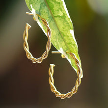 Load image into Gallery viewer, High-Polished 18k Gold-Plated Rope-Shaped Half-Hoop Earrings - Ropes of Victory | NOVICA
