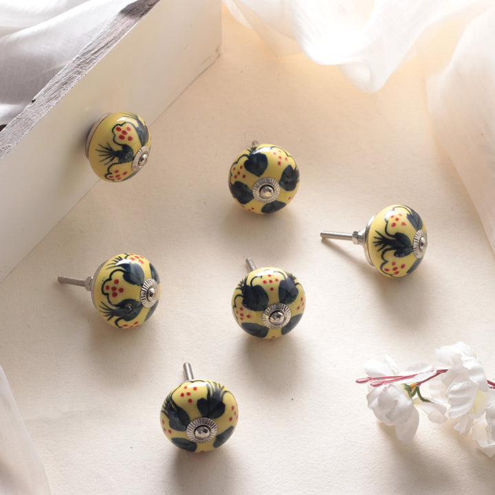 Summer-Inspired Painted 6-Piece Glazed Ceramic Knob Set - Sunny Years | NOVICA
