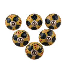 Load image into Gallery viewer, Summer-Inspired Painted 6-Piece Glazed Ceramic Knob Set - Sunny Years | NOVICA
