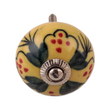 Load image into Gallery viewer, Summer-Inspired Painted 6-Piece Glazed Ceramic Knob Set - Sunny Years | NOVICA
