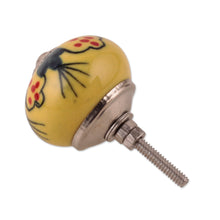 Load image into Gallery viewer, Summer-Inspired Painted 6-Piece Glazed Ceramic Knob Set - Sunny Years | NOVICA
