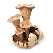 Load image into Gallery viewer, Eco-Friendly Jempinis and Benalu Wood Mushroom Sculpture - Mushroom Nature | NOVICA
