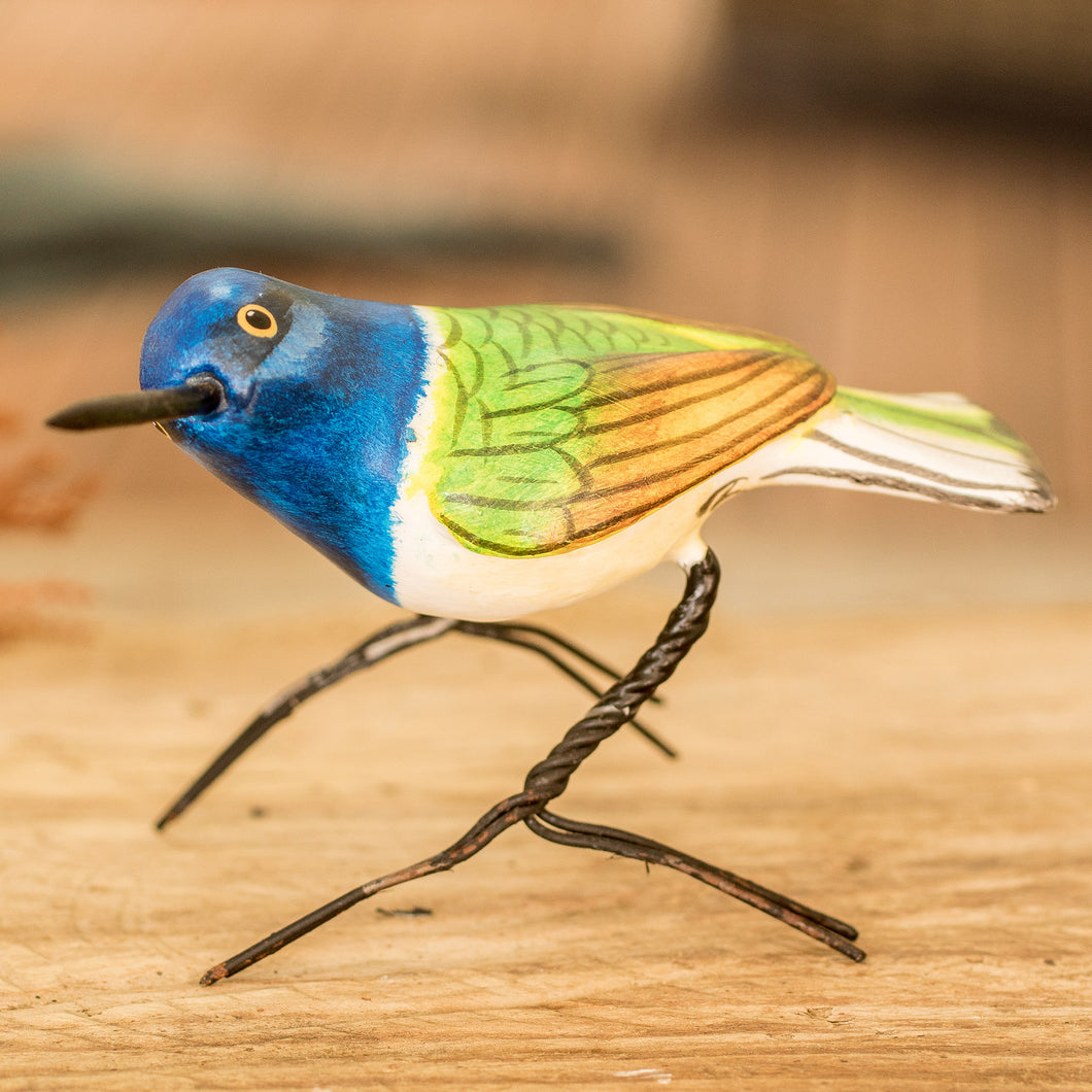 Jacobin Hummingbird