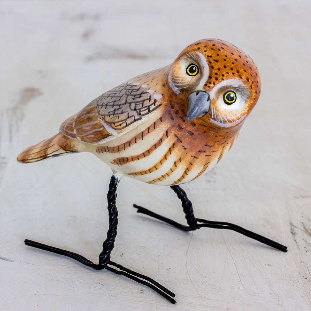 Elf Owl