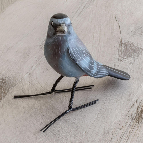 Grey Catbird