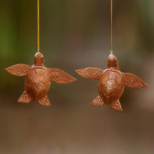 Load image into Gallery viewer, Patient Turtle
