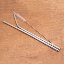 Load image into Gallery viewer, Stainless Steel Drinking Straws with Storage Pouch - Hydrate | NOVICA
