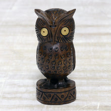 Load image into Gallery viewer, Vigilant Owl
