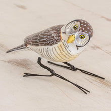 Load image into Gallery viewer, Hawk Owl
