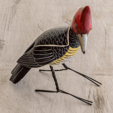 Load image into Gallery viewer, Helmeted Woodpecker

