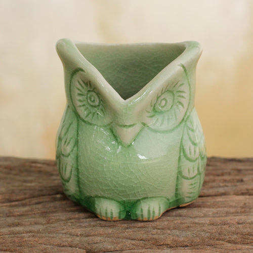 Happy Green Owl