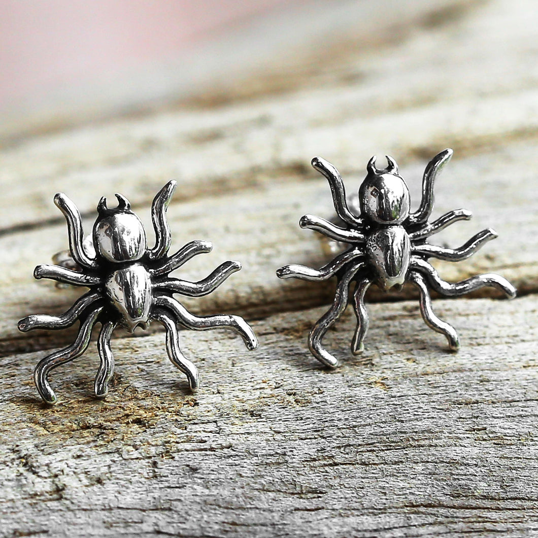 Little Sun Spiders