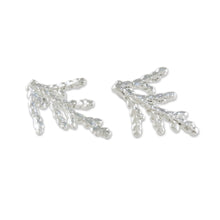 Load image into Gallery viewer, Silver Plated Natural Cypress Leaf Earrings from Thailand - Natural Needles | NOVICA
