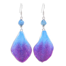 Load image into Gallery viewer, Blue Orchid Petal Earrings from Thailand - Forever Orchid in Blue | NOVICA
