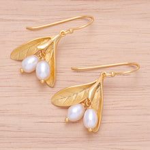 Load image into Gallery viewer, Gold-Plated Cultured Pearl Dangle Earrings - Bearing Fruit | NOVICA
